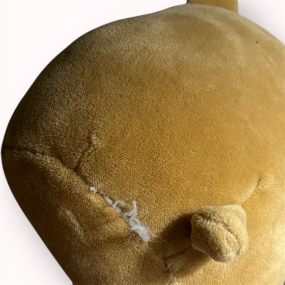 FREE WITH $30+ Baron the bear 4.5" Squishmallow - Picture 2 of 4